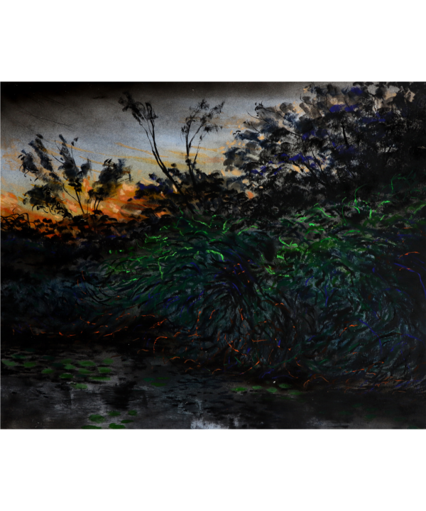 Polluted Pond
