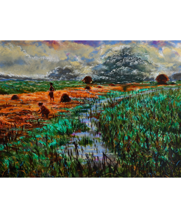 Labour in the Fields