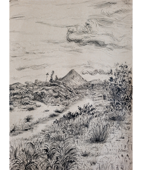 Between Lines, a Landscape